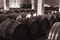 Futs et barriques de vin